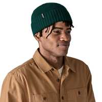 POS-WBF25_29206_CASG_STH1 Berretti - Cascade Green - Unisex - Brodeo Beanie  Patagonia