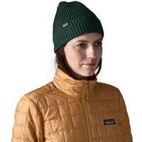 POS-WBF25_29105_CASG_KA1 Berretti - Cascade Green - Unisex - Fishermans Rolled Beanie  Patagonia