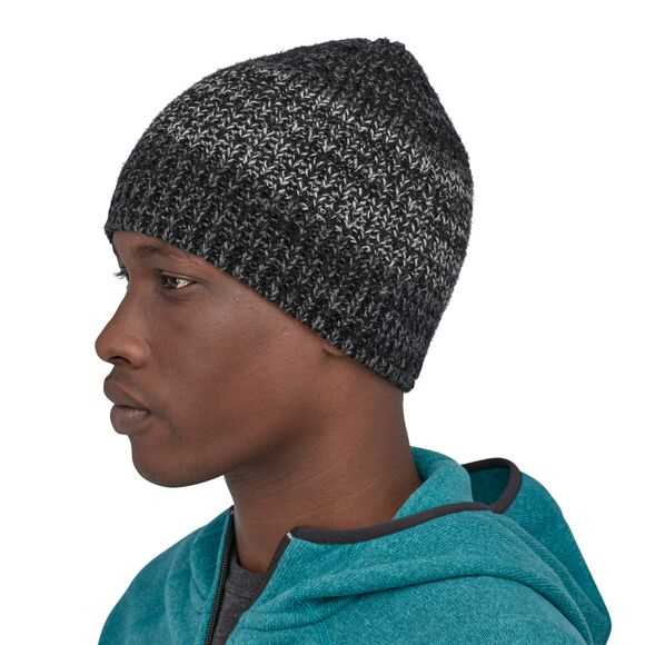 patagonia speedway beanie