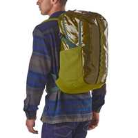 Borse - Golden Jungle - Unisex - Black Hole Pack 30L  Patagonia