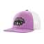 Brisk Purple/Viola