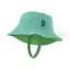 Early teal/verde