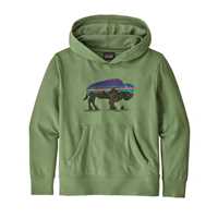Felpe - Fitz roy bison green - Bambino - Felpa Boys Lightweight Graphic Hoody Sweatshirt  Patagonia