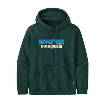Felpe - Pinyon green - Uomo - Felpa uomo Ms P-6 Logo Uprisal Hoody  Patagonia