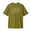 Graze Green/verde