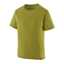 Graze Green/verde