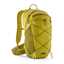 Graze Green/verde