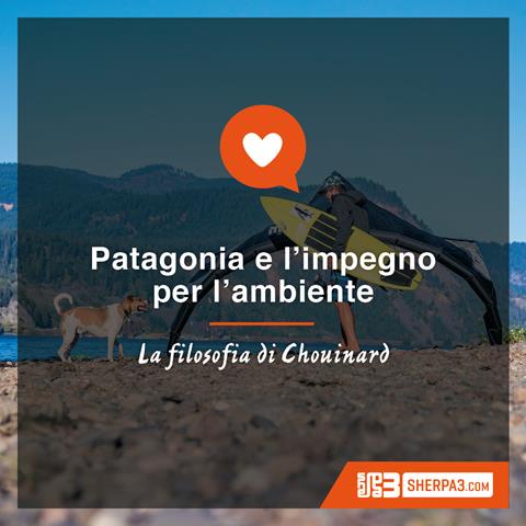 Immagine Letture estive: Patagonia e l’impegno per l’ambiente