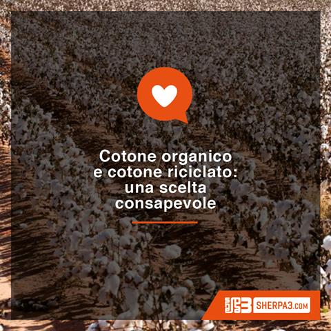 Immagine Cotone organico e cotone riciclato: una scelta consapevole